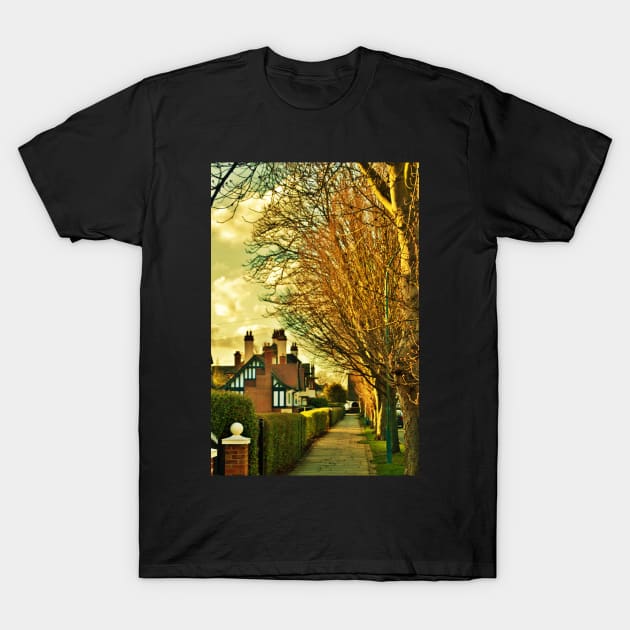 Hull, Garden Village T-Shirt by golan22may